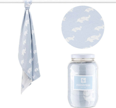 Coperta Cotone Bambino Cambrass 80x100 Ele Azzurro Casa e cucina/Tessili per la casa/Biancheria per culle e lettini/Coperte e copertine/Coperte La Casa Del Bebè - Napoli, Commerciovirtuoso.it