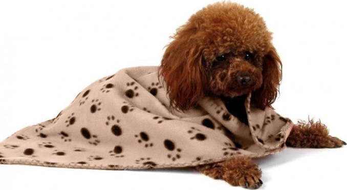 Coperta-In-Pile-Per-Animali-Domestici-80x120cm-Copeertina-Cane-Caldo-Inveerno