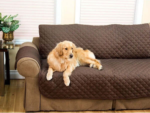 Copridivano-Double-Face-Per-Animali-Cane-Gatto-Proteggi-Da-Peli-179cm-X-173cm