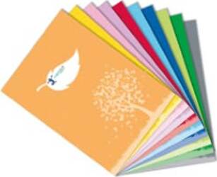 Coprimaxi Colorosa Green - 21 x 30 cm - c-tasche - azzurro - RiPlast [multipack] 30 pezzi Cancelleria e prodotti per ufficio/Scuola e materiale didattico/Materiale scolastico/Copertine per i libri Eurocartuccia - Pavullo, Commerciovirtuoso.it