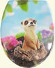 Copriwater-Copri-Water-Sedile-Wc-Bagno-Universal-E-Cerniere-Acciaio-Lemure-Look