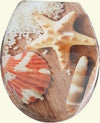 Copriwater-Sedile-Bagno-Copri-Water-Universale-Cerniere-Acciaio-Stella-Conchiglie