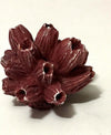 Corallo Finto In Resina 5 Cm Artificiale Per Decorazioni Acquario Addobbi Prodotti per animali > Prodotti per Acquari > Decorazioni Acquario Trade Shop italia - Napoli, Commerciovirtuoso.it