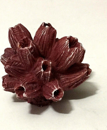 Corallo Finto In Resina 5 Cm Artificiale Per Decorazioni Acquario Addobbi Prodotti per animali > Prodotti per Acquari > Decorazioni Acquario Trade Shop italia - Napoli, Commerciovirtuoso.it