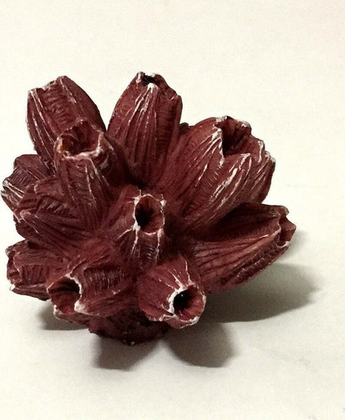 Corallo Finto In Resina 5 Cm Artificiale Per Decorazioni Acquario Addobbi Prodotti per animali > Prodotti per Acquari > Decorazioni Acquario Trade Shop italia - Napoli, Commerciovirtuoso.it