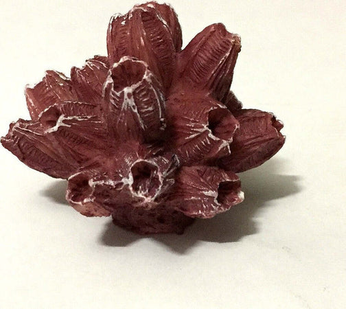 Corallo Finto In Resina 5 Cm Artificiale Per Decorazioni Acquario Addobbi Prodotti per animali > Prodotti per Acquari > Decorazioni Acquario Trade Shop italia - Napoli, Commerciovirtuoso.it