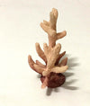 Corallo Finto In Resina 7cm Artificiale Per Decorazioni Acquario Addobbi Prodotti per animali > Prodotti per Acquari > Decorazioni Acquario Trade Shop italia - Napoli, Commerciovirtuoso.it