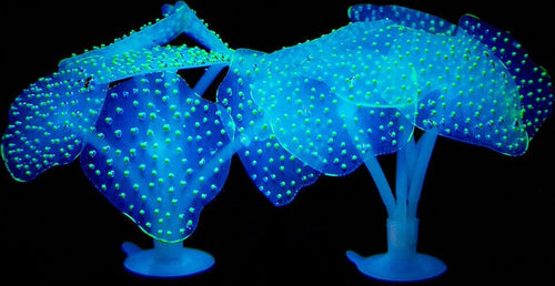 Corallo Finto In Silicone Blu Artificiale Per Decorazioni Acquario Addobbi Pesci Prodotti per animali > Prodotti per Acquari > Decorazioni Acquario Trade Shop italia - Napoli, Commerciovirtuoso.it