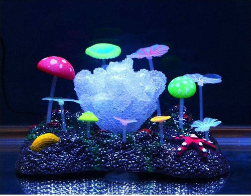 CORALLO FLUORESCENTE ERBA STELLA FUNGHI ORNAMENTO PER ACQUARIO DECORAZIONI Prodotti per animali domestici/Pesci e animali d'acqua/Arredo per acquario/Piante sintetiche Trade Shop italia - Napoli, Commerciovirtuoso.it