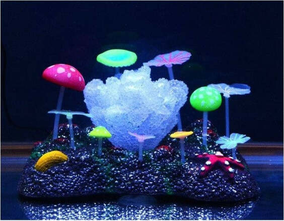 Corallo-Fluorescente-Erba-Stella-Funghi-Ornamento-Per-Acquario-Decorazioni