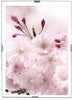 Cornice-A-Giorno-25-X-35cm-In-Crilex-Cornici-Portafoto-Puzzle-Poster-Foto-Stampe
