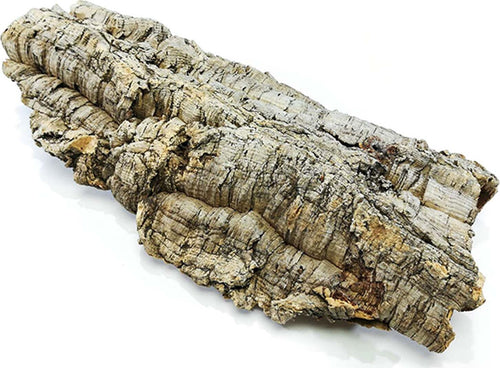 Corteccia di sughero naturale per presepe decorazione realistica Casa e cucina/Decorazioni per interni/Addobbi e decorazioni per ricorrenze/Decorazioni natalizie/Presepi/Statuine e fondali per il presepe MagiediNatale.it - Altamura, Commerciovirtuoso.it