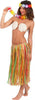 Costume da Hawaiana Set Hawaii collana, Frontalino, Gonna Lunghezza 70 cm Giochi e giocattoli/Giochi d'imitazione e accessori di travestimento/Costumi e travestimenti/Kit di travestimento Kondorama - Martinsicuro, Commerciovirtuoso.it