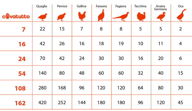 Incubatrice per uova "Covatutto 16 Lt" con termometro a liquido 42w