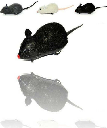 Crazy Mouse Simpatico Topo Topolino A Frizione Gioco Scherzo Carnevale Giocattoli e infanzia > Giocattoli e Modellismo > Giochi per Bambini Trade Shop italia - Napoli, Commerciovirtuoso.it