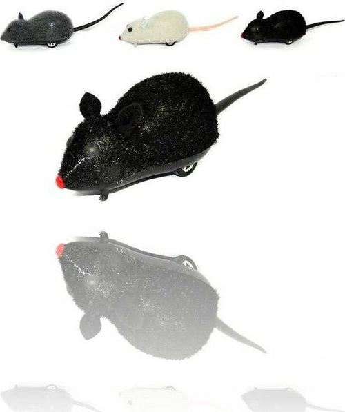 Crazy Mouse Simpatico Topo Topolino A Frizione Gioco Scherzo Carnevale Giocattoli e infanzia > Giocattoli e Modellismo > Giochi per Bambini Trade Shop italia - Napoli, Commerciovirtuoso.it