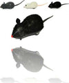 Crazy Mouse Simpatico Topo Topolino A Frizione Gioco Scherzo Carnevale Prodotti per animali domestici/Gatti/Giocattoli/Topolini e animali giocattolo Trade Shop italia - Napoli, Commerciovirtuoso.it