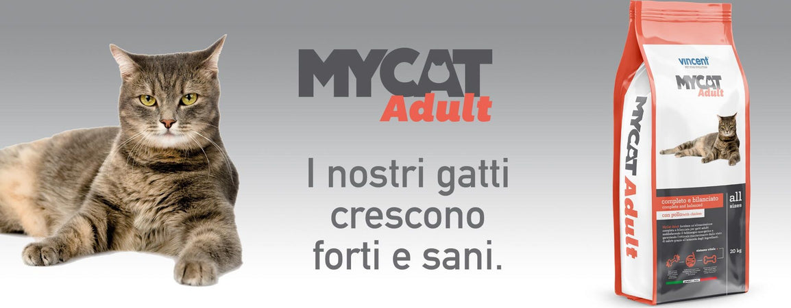 Crocchette Vincent per gatti My Diet 20 kg a base di carne, cereali e verdura. Prodotti per animali domestici/Cani/Cibo/Secco La Zappa - Altamura, Commerciovirtuoso.it