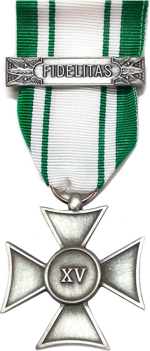 Croce Anzianità 15 Anni Croce Rossa Italiana Con Scatola Sport e tempo libero/Accessori/Trofei medaglie e premi/Medaglie Il Distintivo - Pesaro, Commerciovirtuoso.it