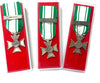 Croce Anzianità 15 Anni Croce Rossa Italiana Con Scatola Sport e tempo libero/Accessori/Trofei medaglie e premi/Medaglie Il Distintivo - Pesaro, Commerciovirtuoso.it
