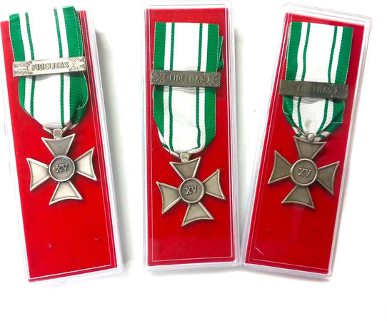 Croce Anzianità 15 Anni Croce Rossa Italiana Con Scatola Sport e tempo libero/Accessori/Trofei medaglie e premi/Medaglie Il Distintivo - Pesaro, Commerciovirtuoso.it