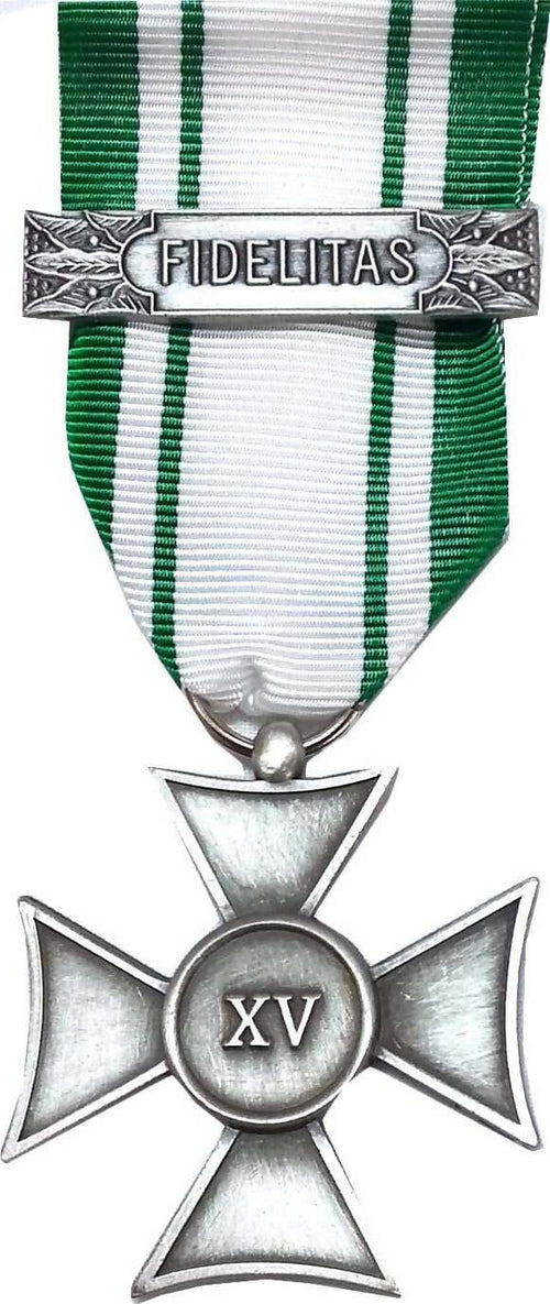 Croce Anzianità 15 Anni Croce Rossa Italiana C.r.i. Sport e tempo libero/Accessori/Trofei medaglie e premi/Medaglie Il Distintivo - Pesaro, Commerciovirtuoso.it