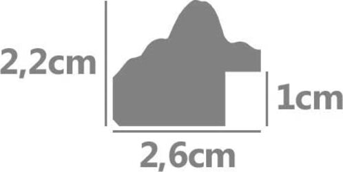 CS---CORNICE-ILARIA-ARGENTO-OPACO-CM-50x70CM