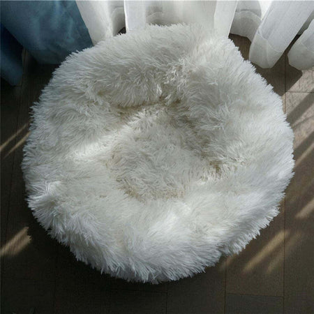 Cuccia In Velluto Peluche Lavabile Super Morbida Per Cani Gatti Animali Da 70 Cm Prodotti per animali > Prodotti per Cani > Cucce Trade Shop italia - Napoli, Commerciovirtuoso.it