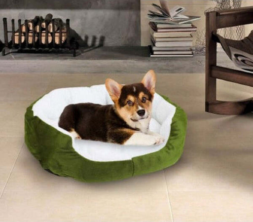 Cuccia Per Cani E Gatti In Caldo Pile 42 X 30 X 15 Cm Cuscino Prodotti per animali domestici/Cani/Lettini accessori e mobili/Lettini Trade Shop italia - Napoli, Commerciovirtuoso.it