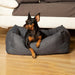 Cuccia-per-cane-e-gatto.-Snuggy-MiaSuite