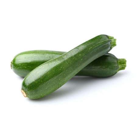 Semi di zucchino "Storr's green hybrid" piante per orto e giardino coltivazione domestica e professionale