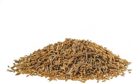 CUMINO-DI-MALTA-Frutti-1-kg-Biokyma