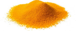 CURCUMA-RIZOMA-Polvere-1-kg-Biokyma