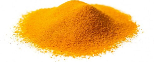 CURCUMA-RIZOMA-Polvere-1-kg-Biokyma