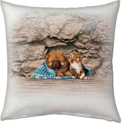 Cuscino-Arredo-Bifaccia-100%-cotone-Made-in-Italy-CUCCIOLI-40x40cm-(copia)