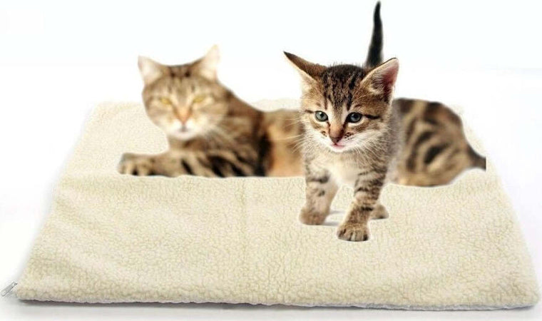CUSCINO LETTO TAPPETO AUTO RISCALDAMENTO TERMICO PET BAD PER CANE GATTI 64X49 CM Prodotti per animali domestici/Cani/Cucce gabbiette e recinzioni/Materassini per gabbiette e cucce Trade Shop italia - Napoli, Commerciovirtuoso.it