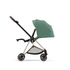 Trio Cybex Platinum Mios 3 - Telaio Rosegold - Cloud T I-SIZE Plus - Leaf Green