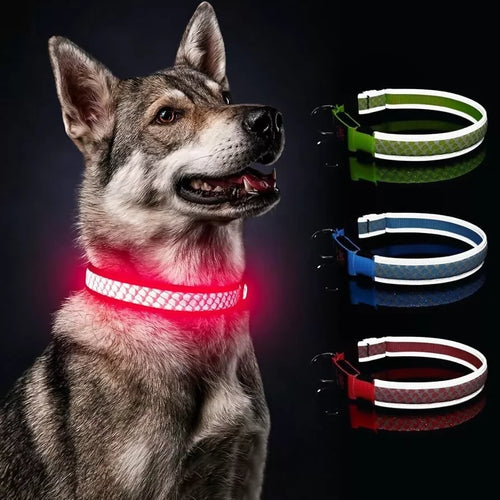 COLLARE LED LUMINOSO CANE