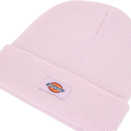 Dickies cappelo baine rosa Gibsland unisex DK0A4X7KK73