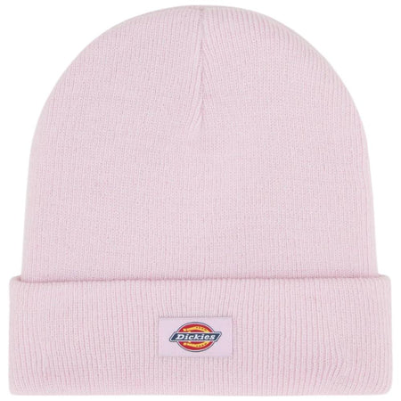 Dickies cappelo baine rosa Gibsland unisex DK0A4X7KK73