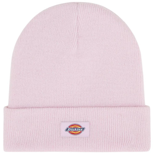 Dickies cappelo baine rosa Gibsland unisex DK0A4X7KK73