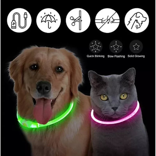 Collare led luminoso cane e gatto ricaricabile usb 3 modalità di luce 35cm