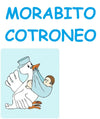 listanascitaboy_MC