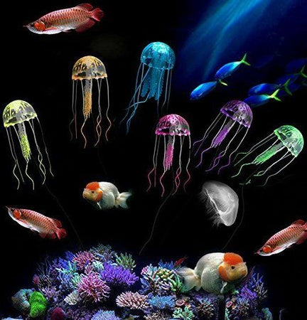 Decorazione Medusa In Silicone Per Acquario Dolce E Marino Fluorescente Pesci Prodotti per animali > Prodotti per Acquari > Decorazioni Acquario Trade Shop italia - Napoli, Commerciovirtuoso.it