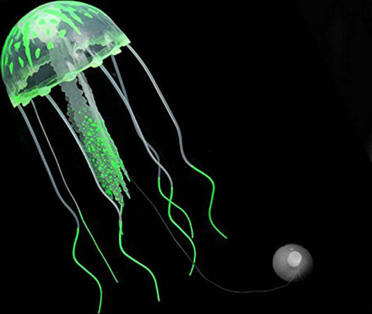 Decorazione Medusa In Silicone Per Acquario Dolce E Marino Fluorescente Pesci Prodotti per animali > Prodotti per Acquari > Decorazioni Acquario Trade Shop italia - Napoli, Commerciovirtuoso.it