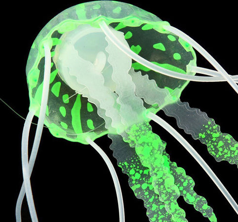 Decorazione Medusa In Silicone Per Acquario Dolce E Marino Fluorescente Pesci Prodotti per animali > Prodotti per Acquari > Decorazioni Acquario Trade Shop italia - Napoli, Commerciovirtuoso.it