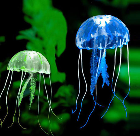 Decorazione Medusa In Silicone Per Acquario Dolce E Marino Fluorescente Pesci Prodotti per animali > Prodotti per Acquari > Decorazioni Acquario Trade Shop italia - Napoli, Commerciovirtuoso.it