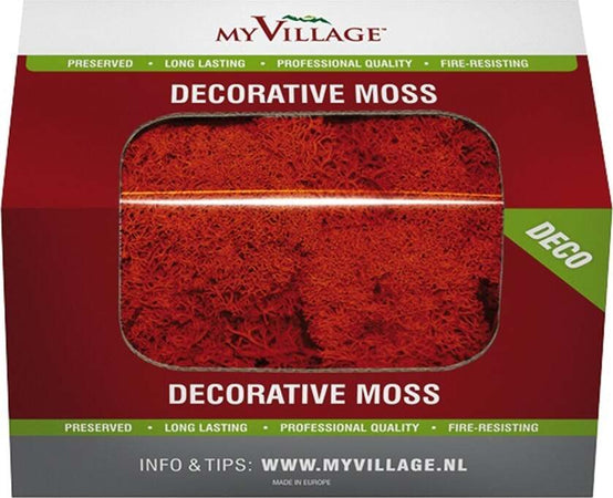 Decorazione muschio lichene per presepi da 50 g in scatola Casa e cucina/Decorazioni per interni/Addobbi e decorazioni per ricorrenze/Decorazioni natalizie/Presepi/Statuine e fondali per il presepe MagiediNatale.it - Altamura, Commerciovirtuoso.it
