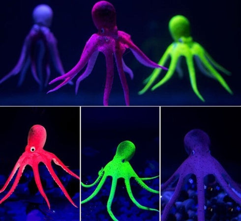 Decorazione Ornamento Acquario Polpo Cefalopodi Octopus Incandescente Al Buio Prodotti per animali domestici/Pesci e animali d'acqua/Arredo per acquario/Oggetti Trade Shop italia - Napoli, Commerciovirtuoso.it