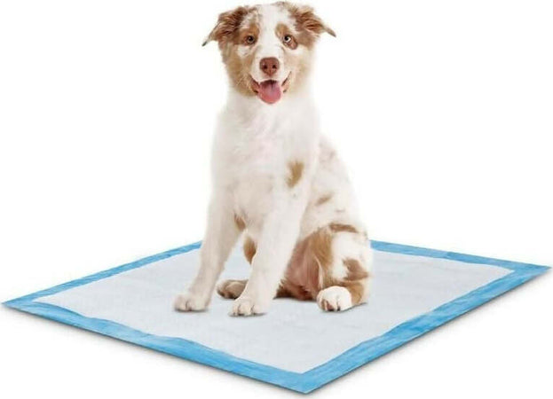 Dermacotone-120-tappetini-assorbenti-venere-60x90-con-angoli-adesivi-per-cani,-gatti,-animali-da-compagnia,-casa-pulita,-igiene-animali,-pet-friendly